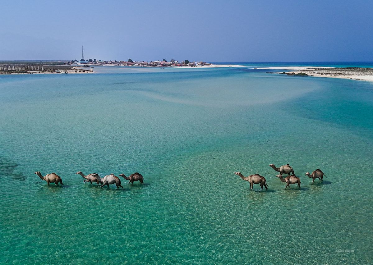 Veynuus Insights goes out to subscribers across Somalia, the Horn of Africa and the diaspora.